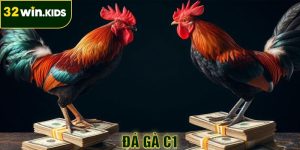 Đá Gà C1