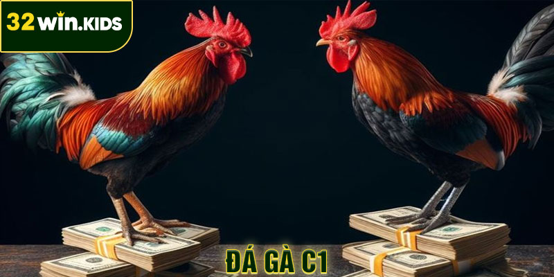 Đá Gà C1