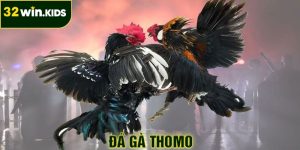 Đá Gà Thomo